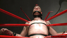 Did you ever try Chinese Water Torment with and electric butt plug shoved up your ass?
