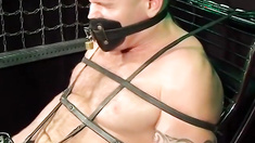 MuscleJockBound.com - Bigg Pete chained and gagged for intense bondage play