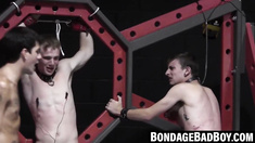BondageBadBoy.com - Brayland educates his two horny submissive twinks