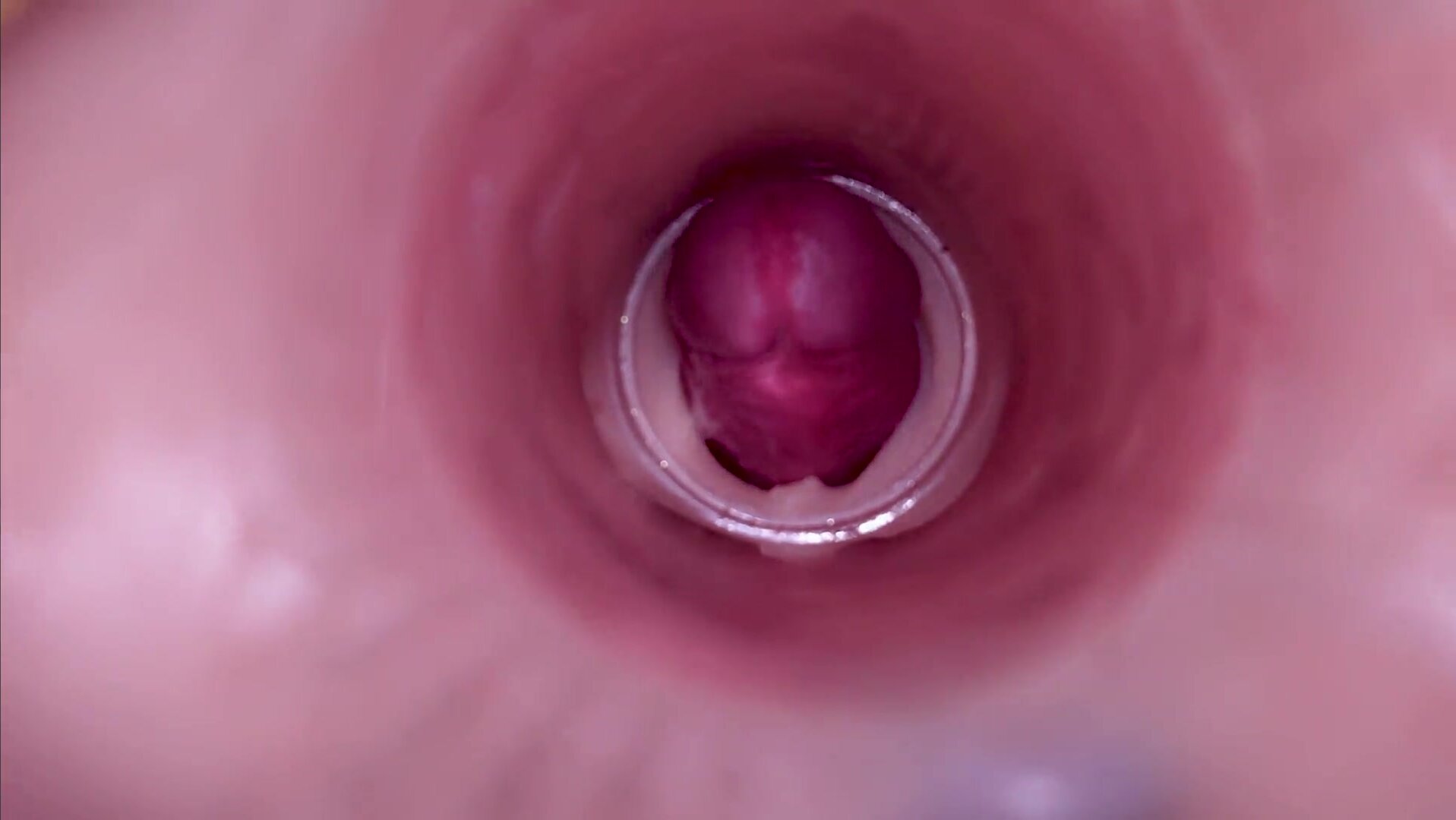 Fag porn video – Female Insemination Internal Camera Captures Deep Male